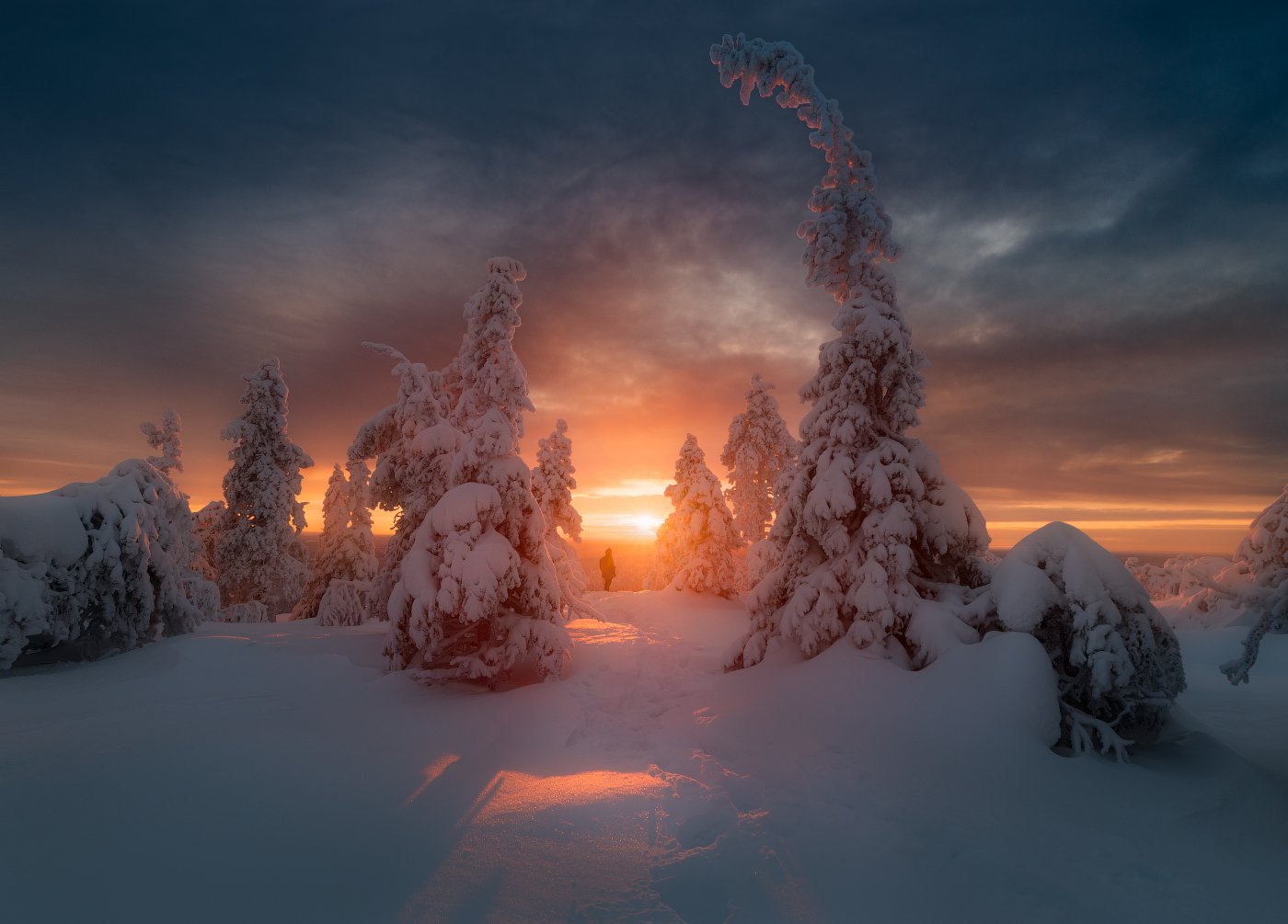 зима, снег, елка, вечер, закат, небо, солнце, финляндия, Cтанислав Малых