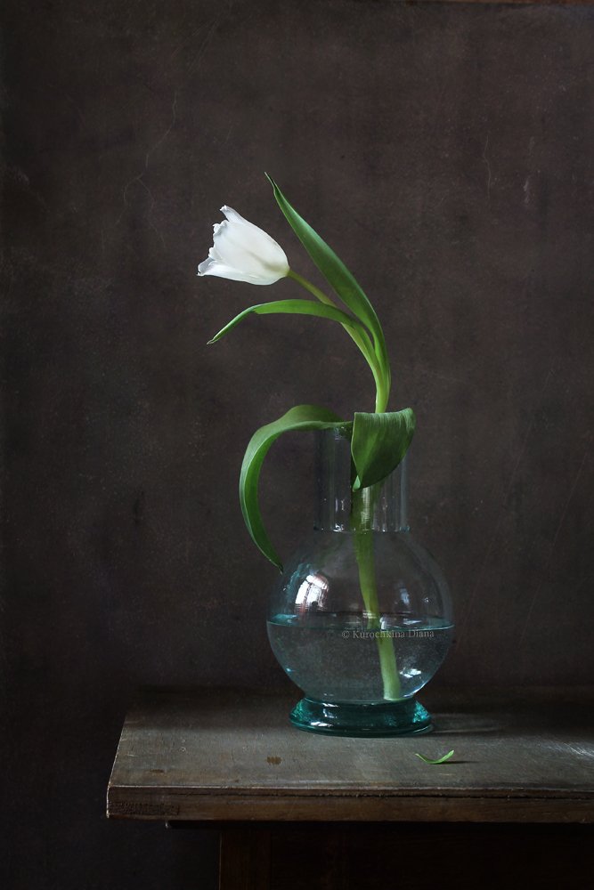 натюрморт, цветы, белый, тюльпан, Курочкина Диана