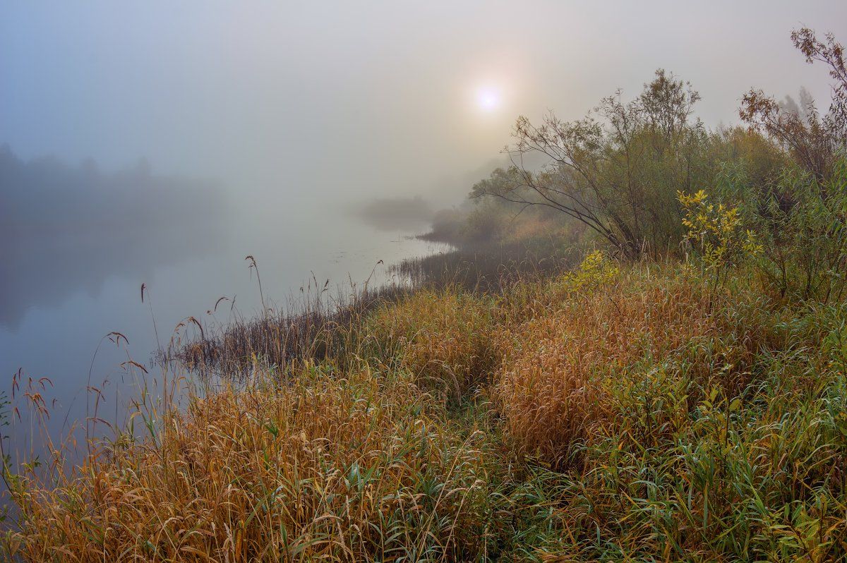 осень туман рассвет утро река молога, Марина Мурашова