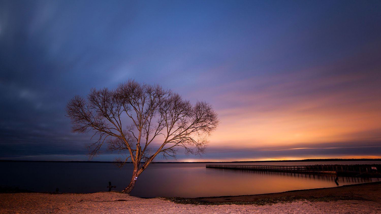 night, lake, tree, bridge, Zenonas Mockus