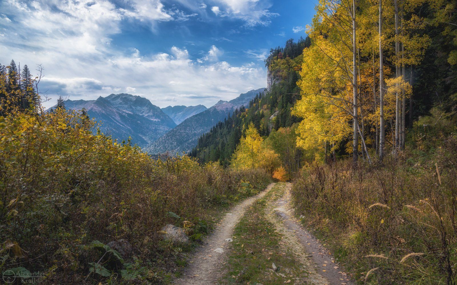 , Александр Круль