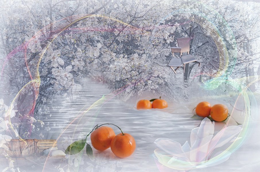 Зима весна снег цветы мандарины радость , Eлена Шовкопляс