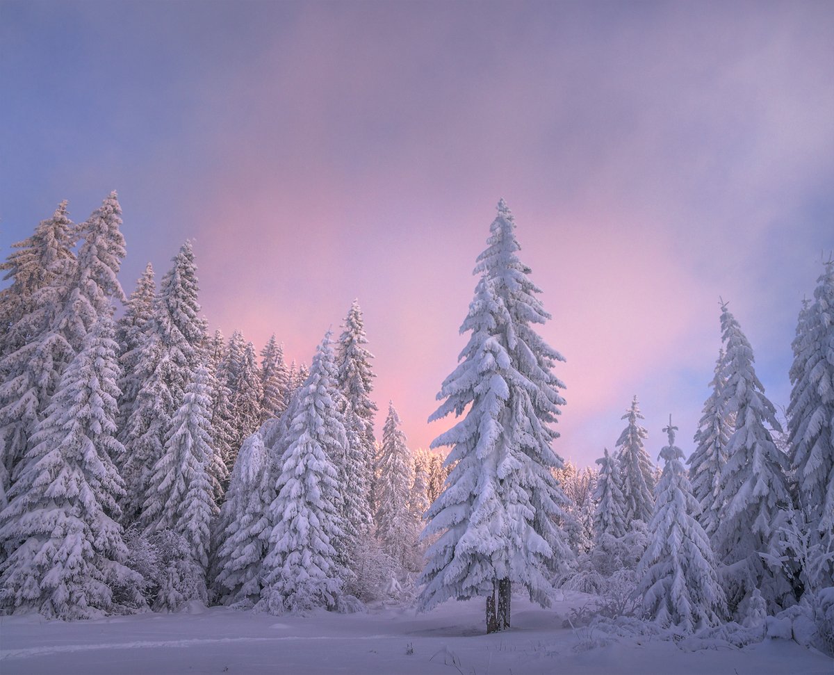 landscape nature scenery winter sunset snow clouds mountain trees пейзаж зима горы, Александър Александров