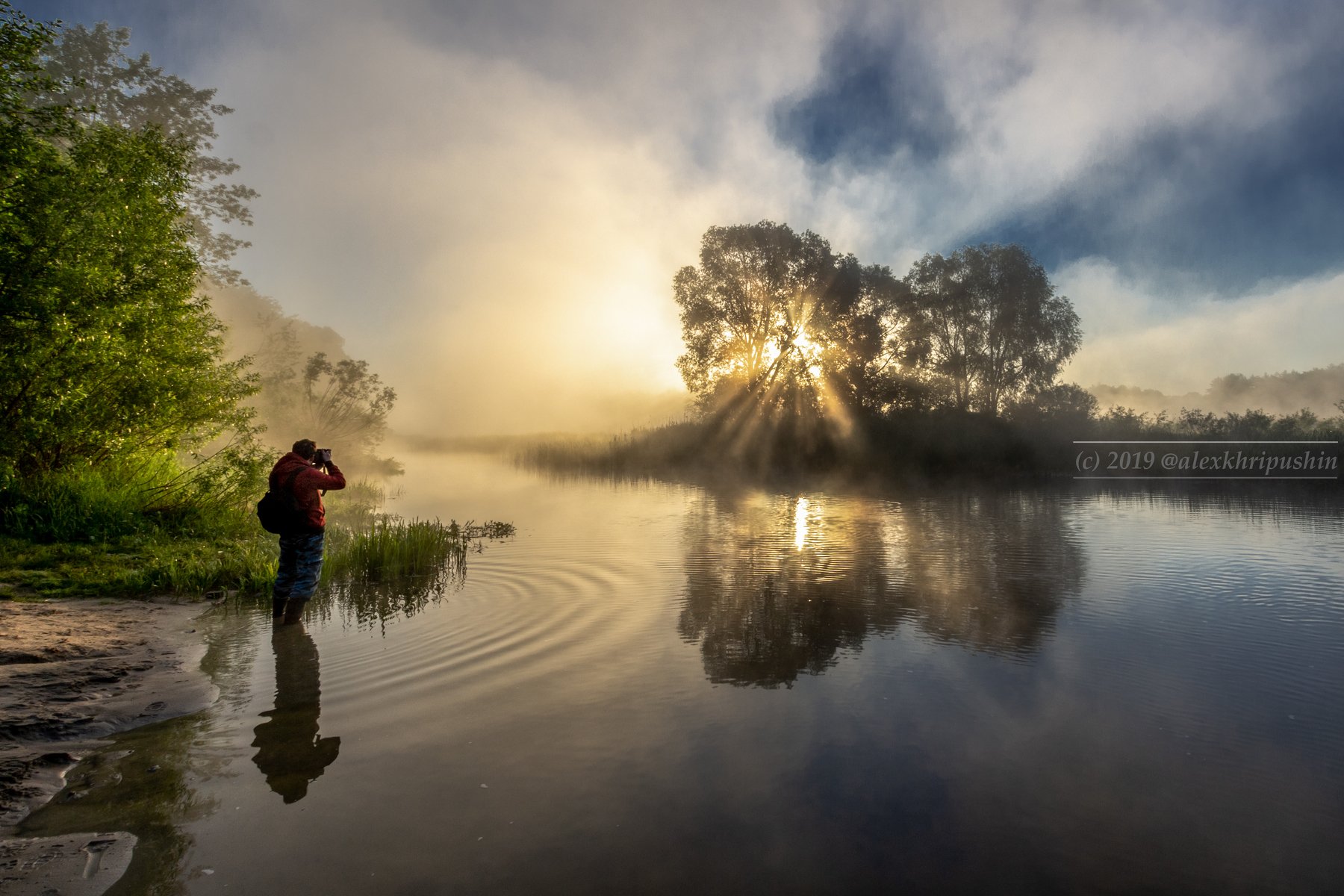 morning river water reflections fog mist landscape spring tree sunlight, Александр Хрипушин