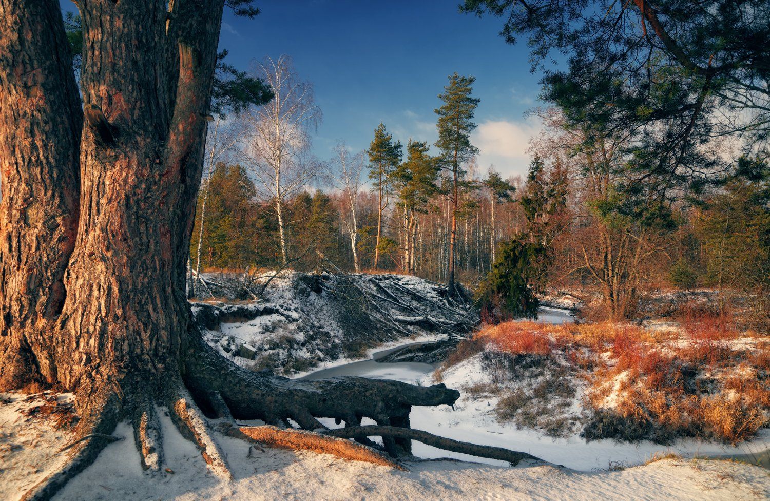 природа,пейзаж,январь,река,снег,владимирская область, (Roman) Heger