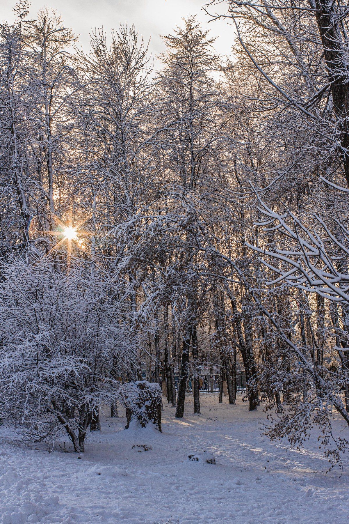 пейзаж, нижний новгород, landscape, winter, new year, зима, снег, snow, Владимир Васильев