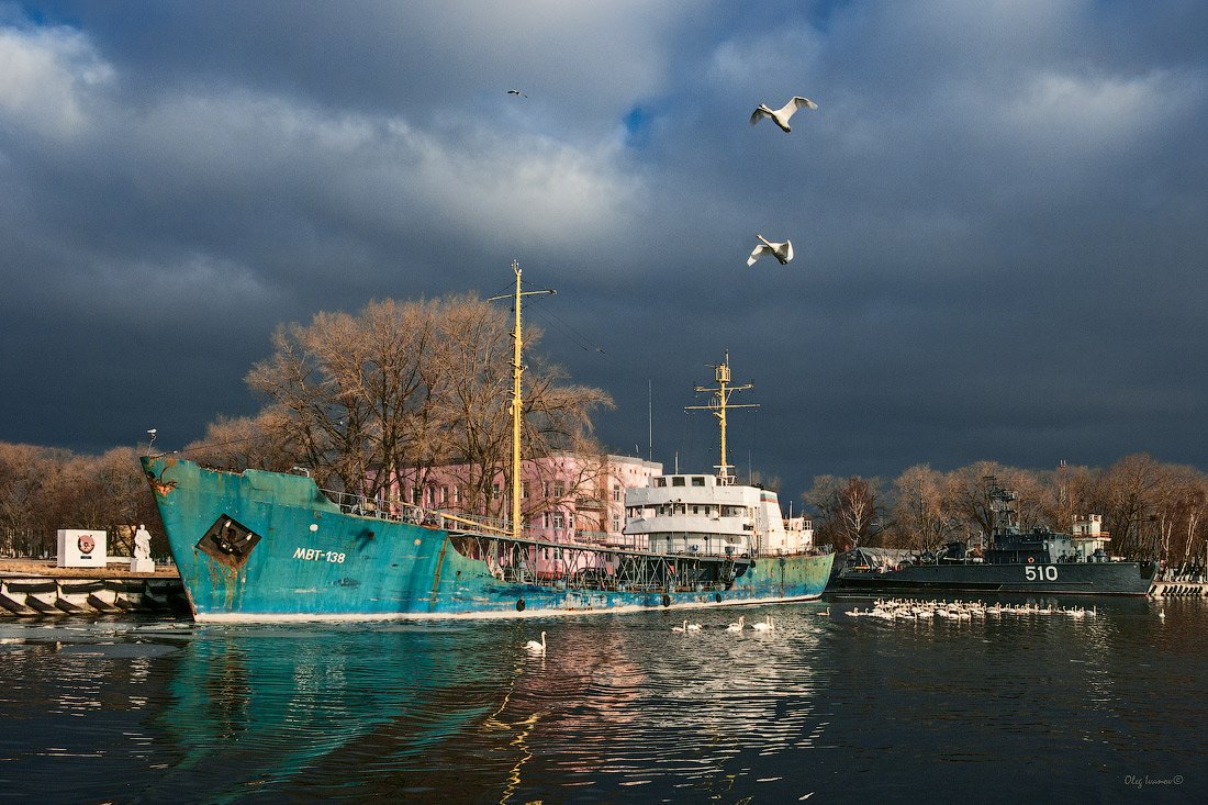 Погода в морском калининградской