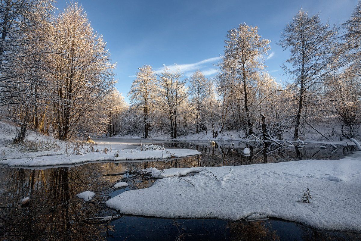 зима природа утро солнце деревья снег река вода настроение берег, Михаил Корнилов