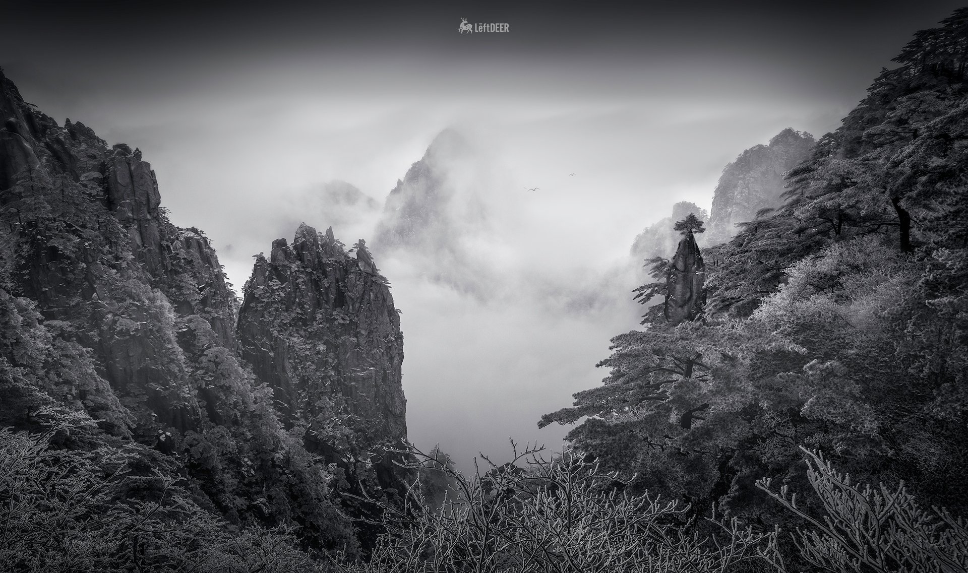 landscapes,Black & White,light shadow,China,Wenzhou,mountain,Mount huangshan,  Xiaolei Yang