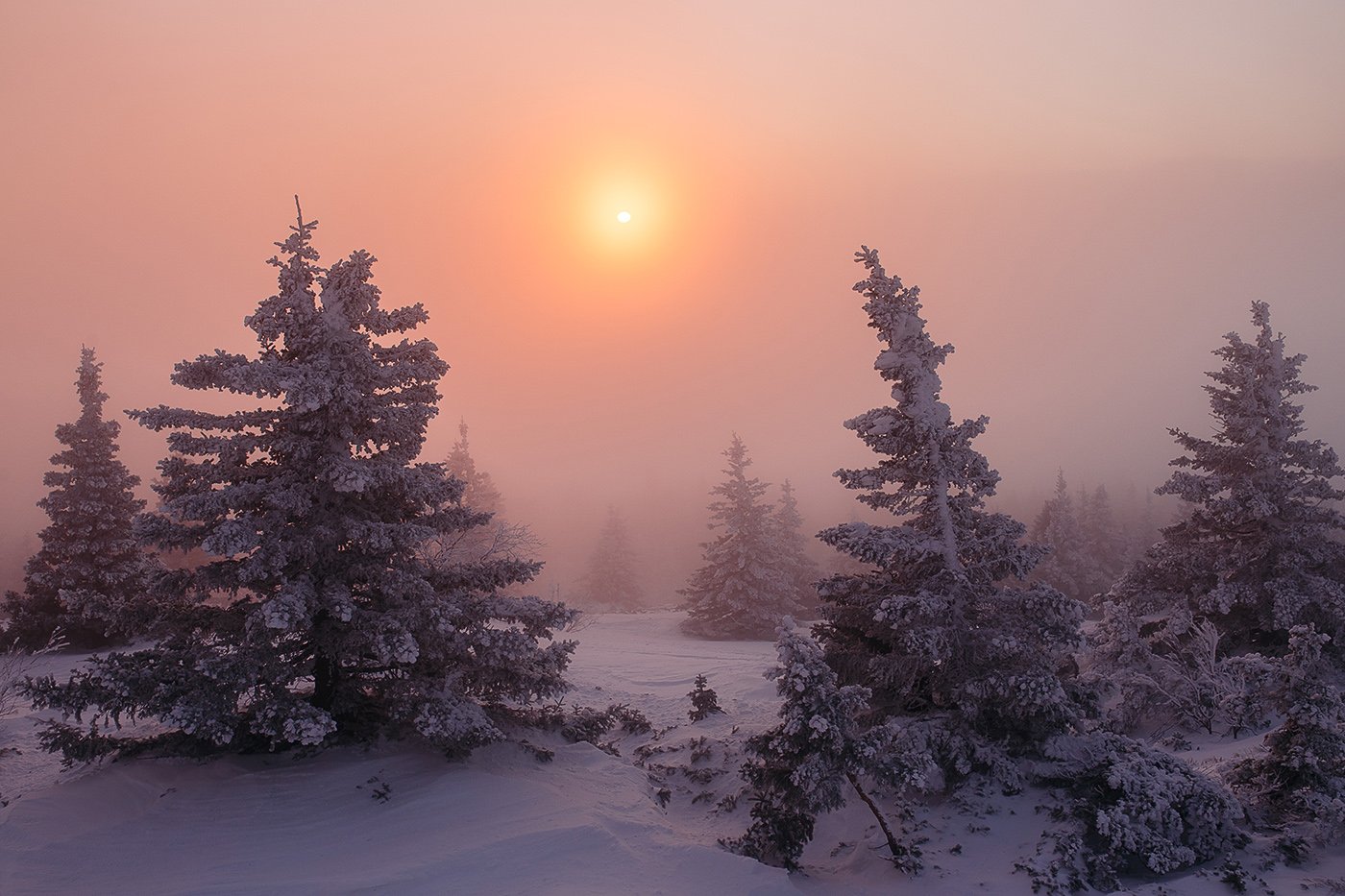 природа, урал, уреньга, зима, рассвет, снег, солнце, метель, Евгений Толкачёв