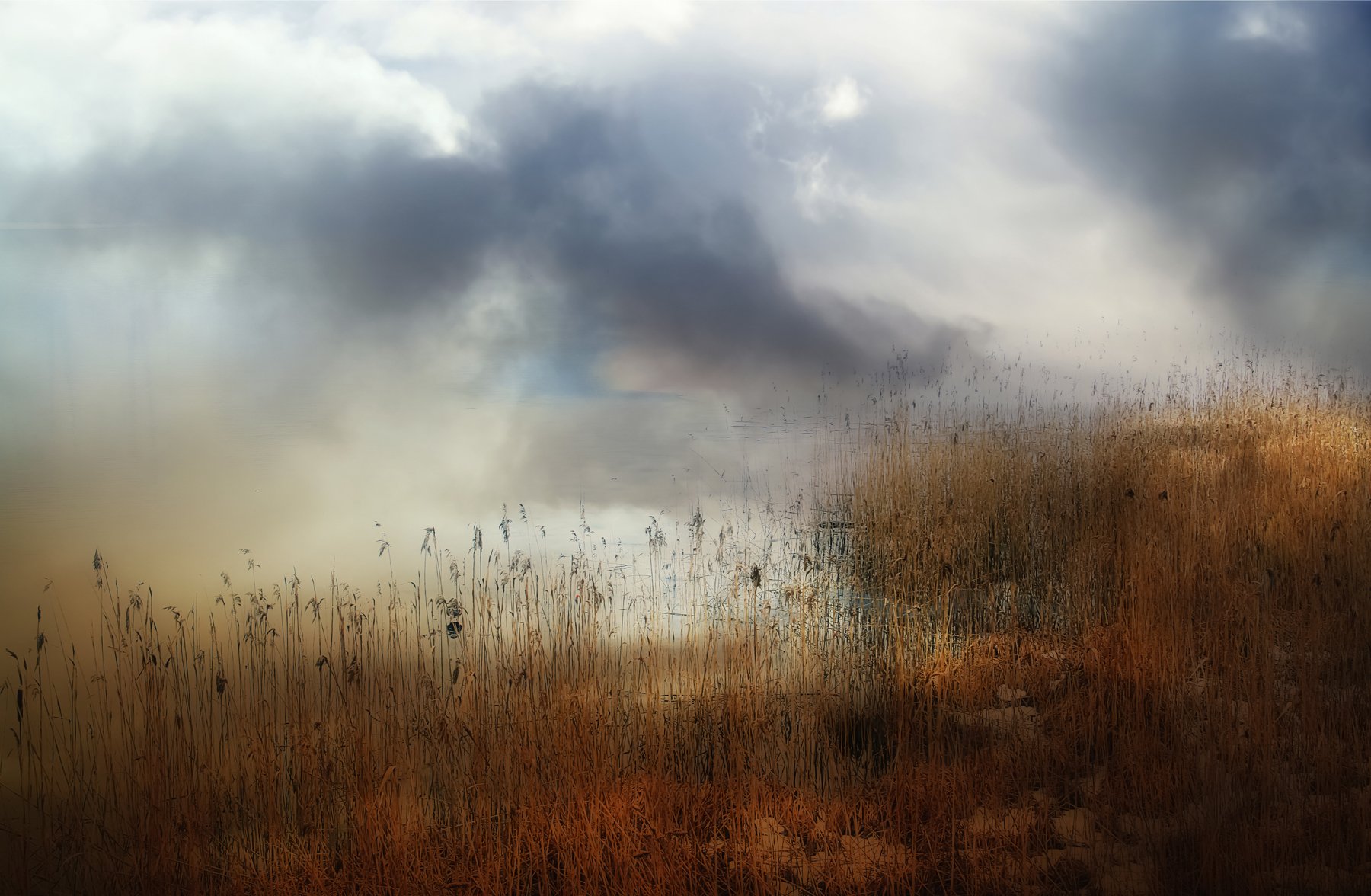 mist,day, country, countryside, outdoor, winter,tree,road,snow, DZINTRA REGINA JANSONE