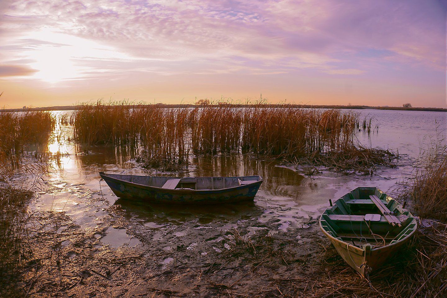 утро,река,мёртвыйдонец,солнце,лодка,пейзаж,взгляд, Марина Соколова