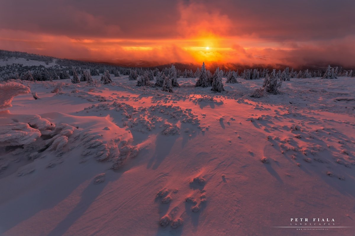 landscape, tree, sunrise, winter, snow, Petr Fiala