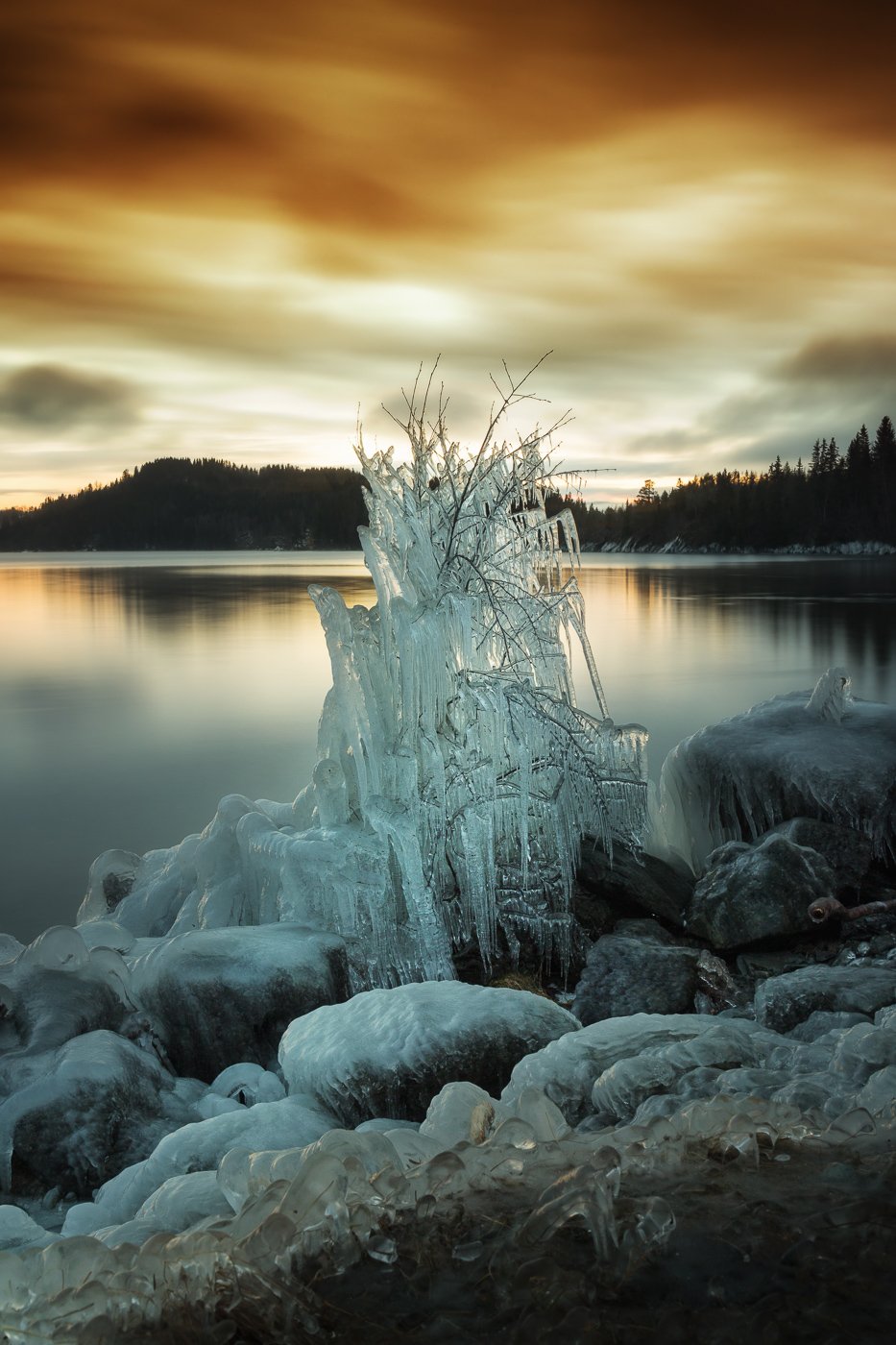 tree,ice,winter,wintertime,norway,frost,lake,sunset, Adrian Szatewicz