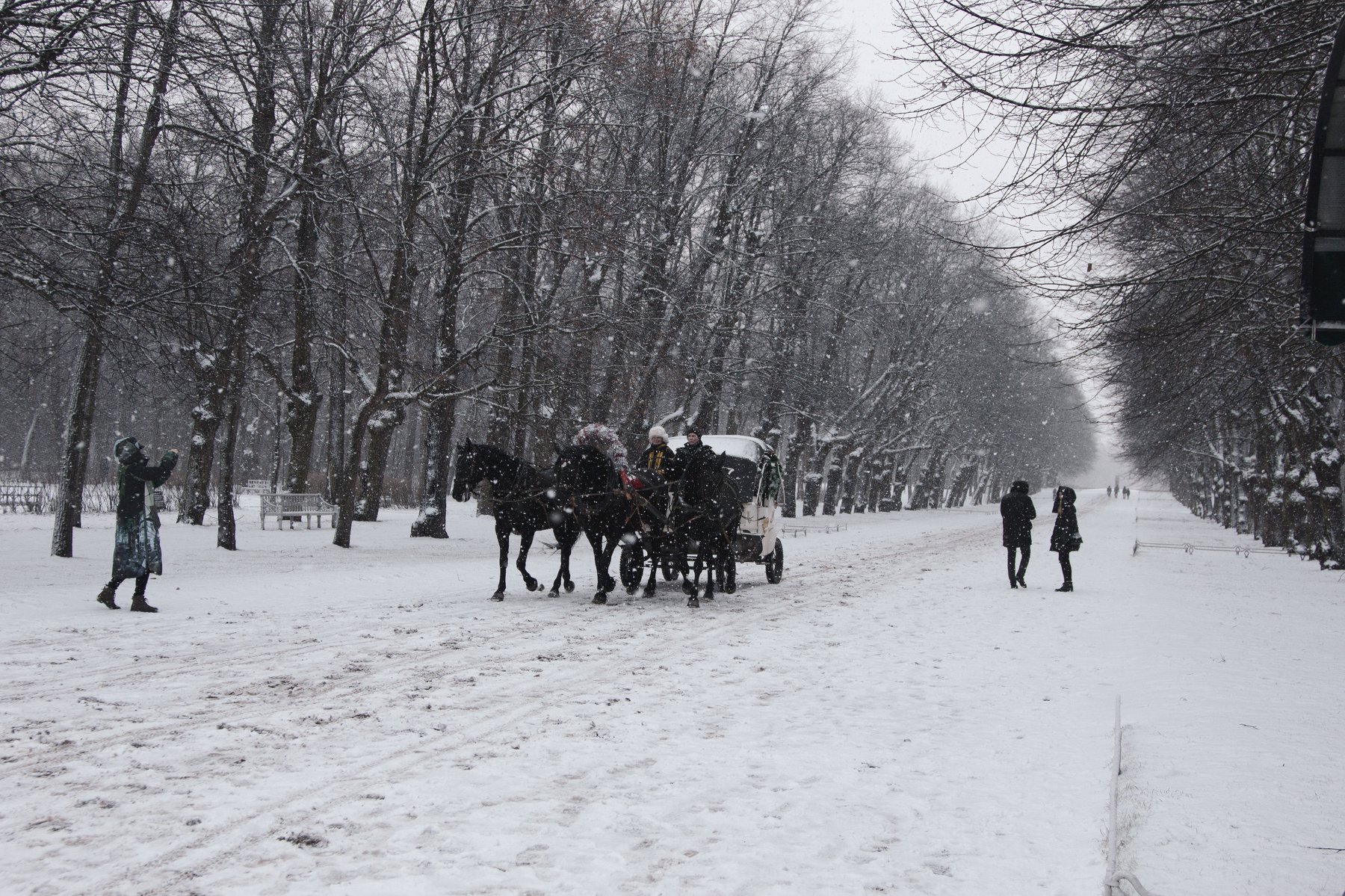 , Зоя Малхова