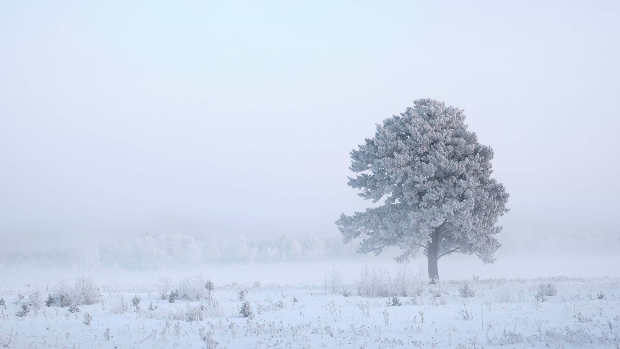 зима, зимний пейзаж, пейзаж ,снег, мороз, Константин Леонтьев