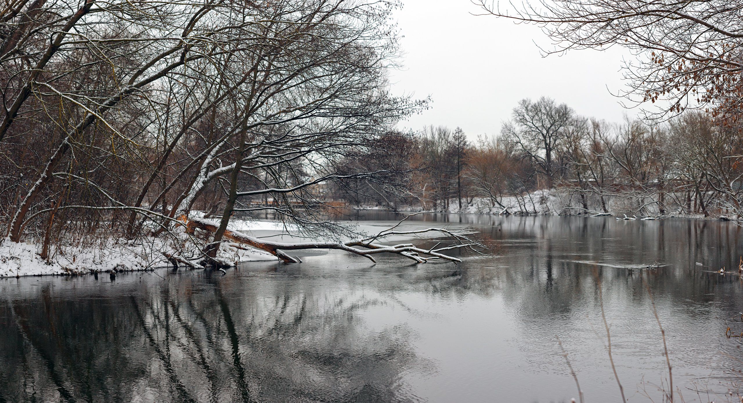 река,вода,деревья,снег,зима, Юрий Котов