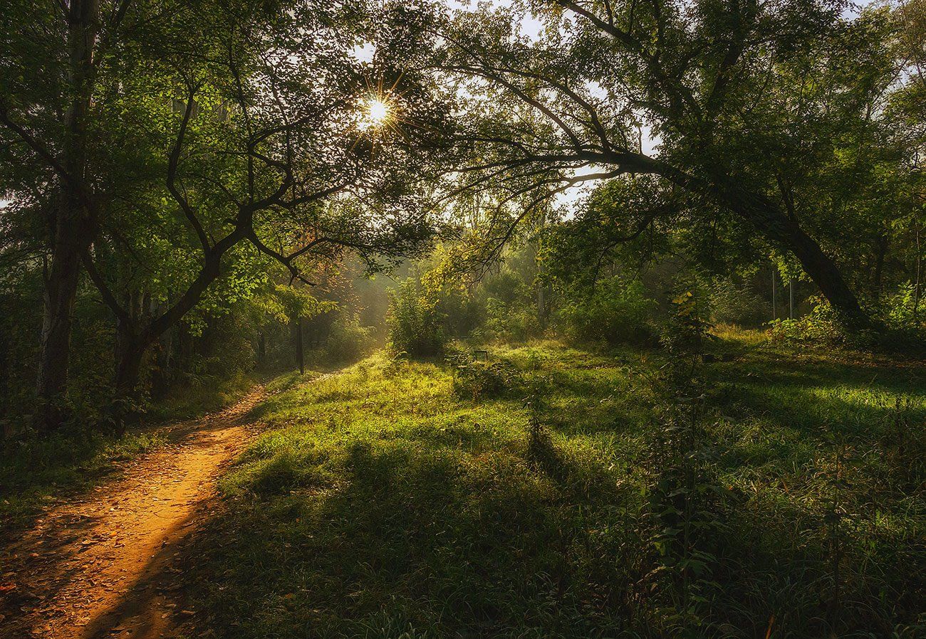 , Игорь Мелекесцев