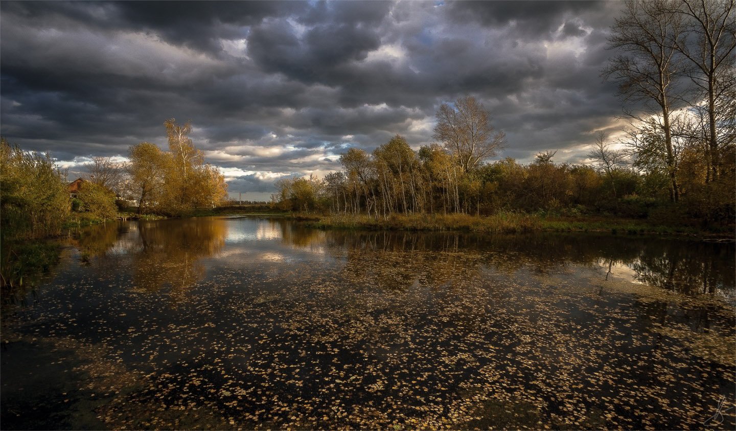 вода, листья, небо, облака, октябрь, осень, пейзаж, природа,  тишина, Будин Николай