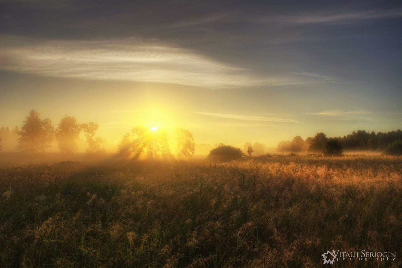 туман, утро, солнце, лучи, поле, Vitalijus Serioginas