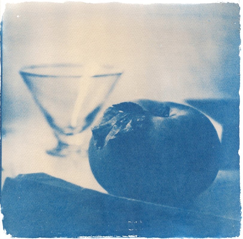 cyanotype, , print, Игорь Филипенко
