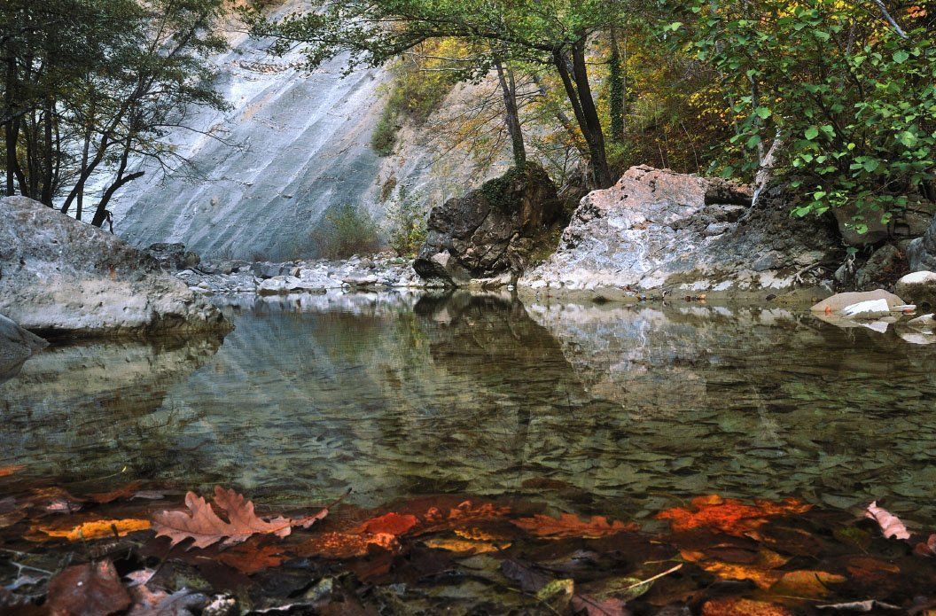 осень, река, листья, Ерёменко Леонид