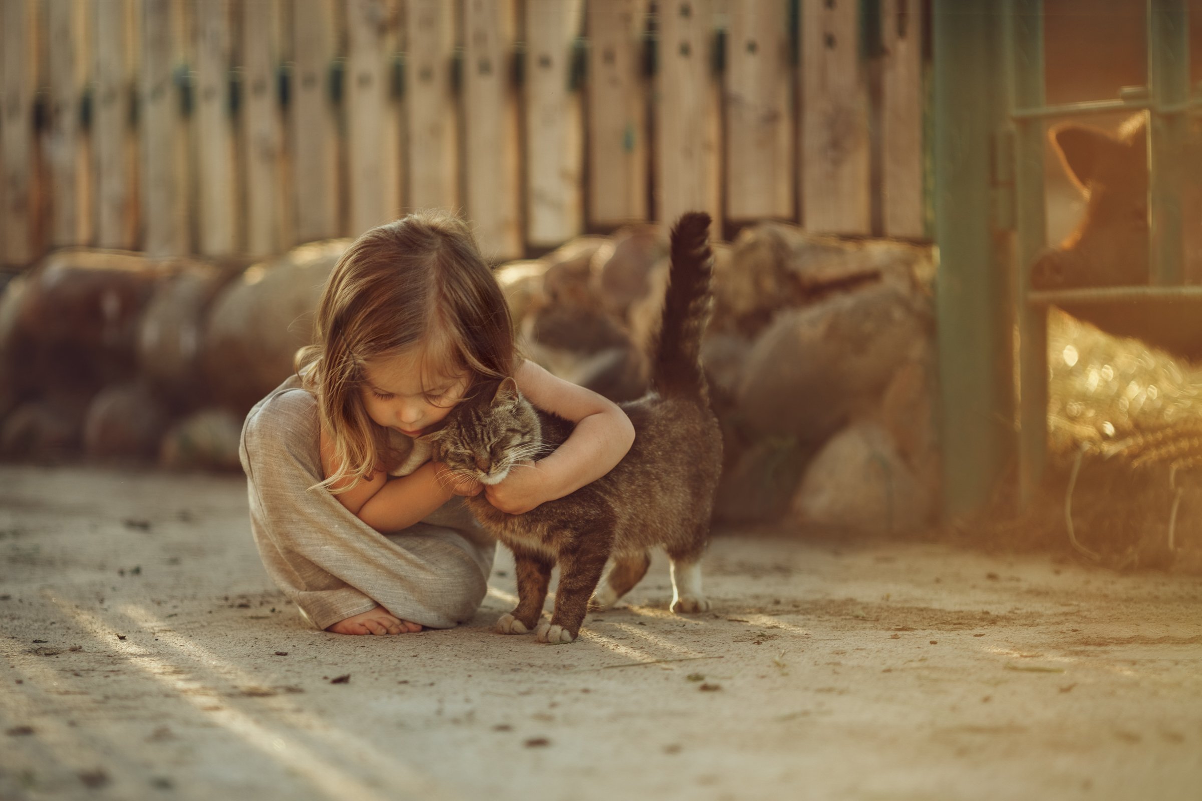 Маленькая девочка где ты была. Девочка с котятами. Девушка с котенком. Девочка с котиком. Девочка обнимает.