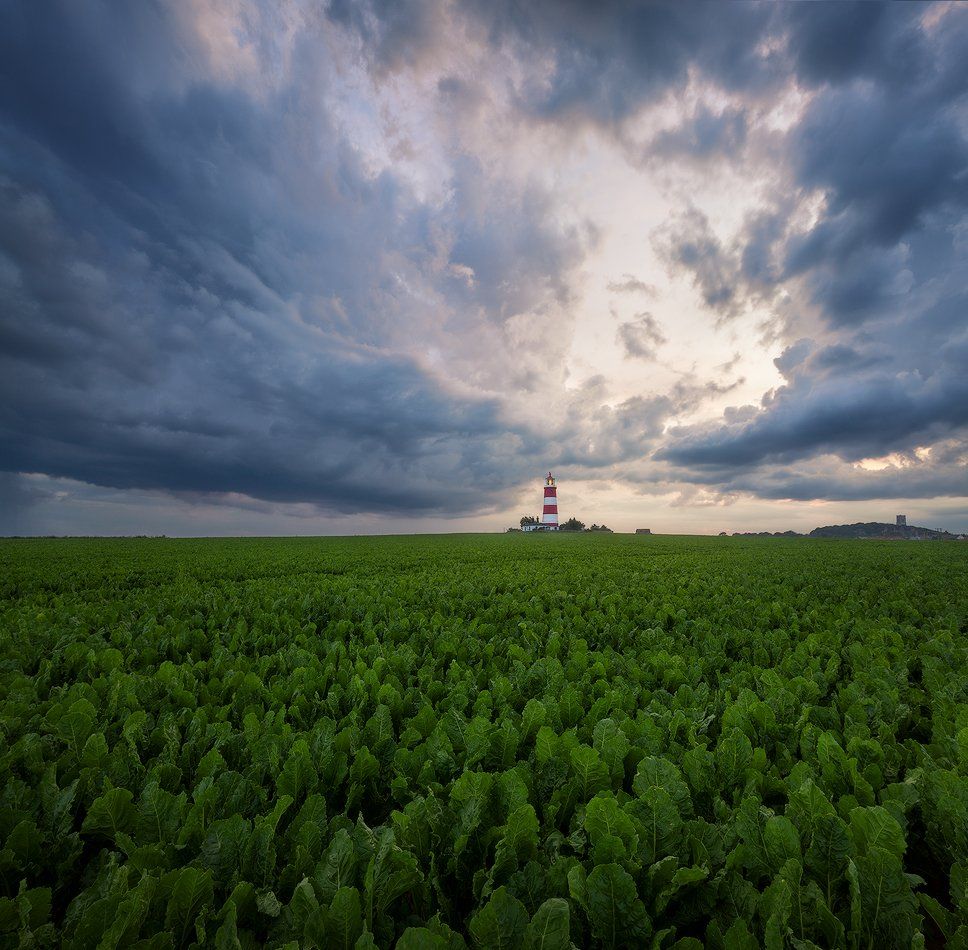 uk, england, lighthouse, Alex Yurko