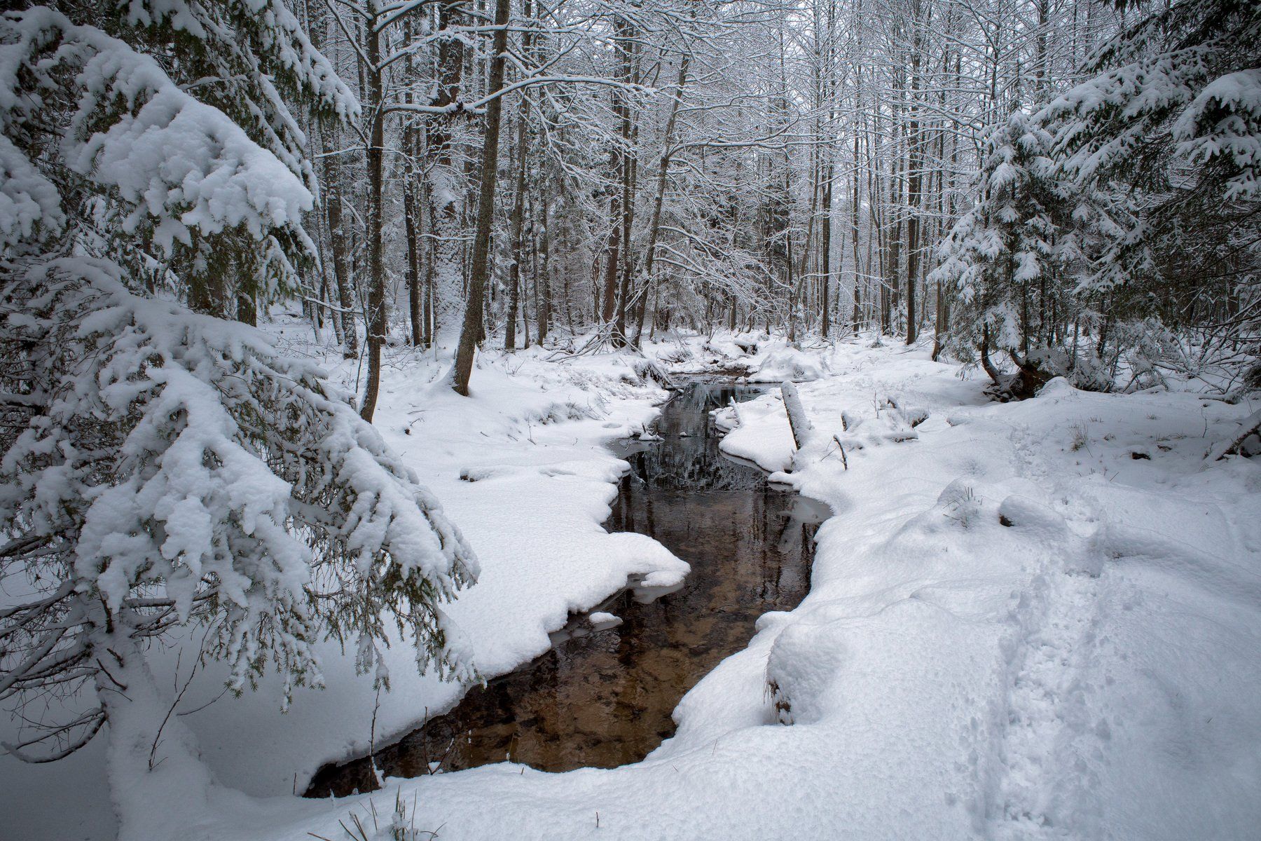 зима,лес,снег,река, Виталий Полуэктов