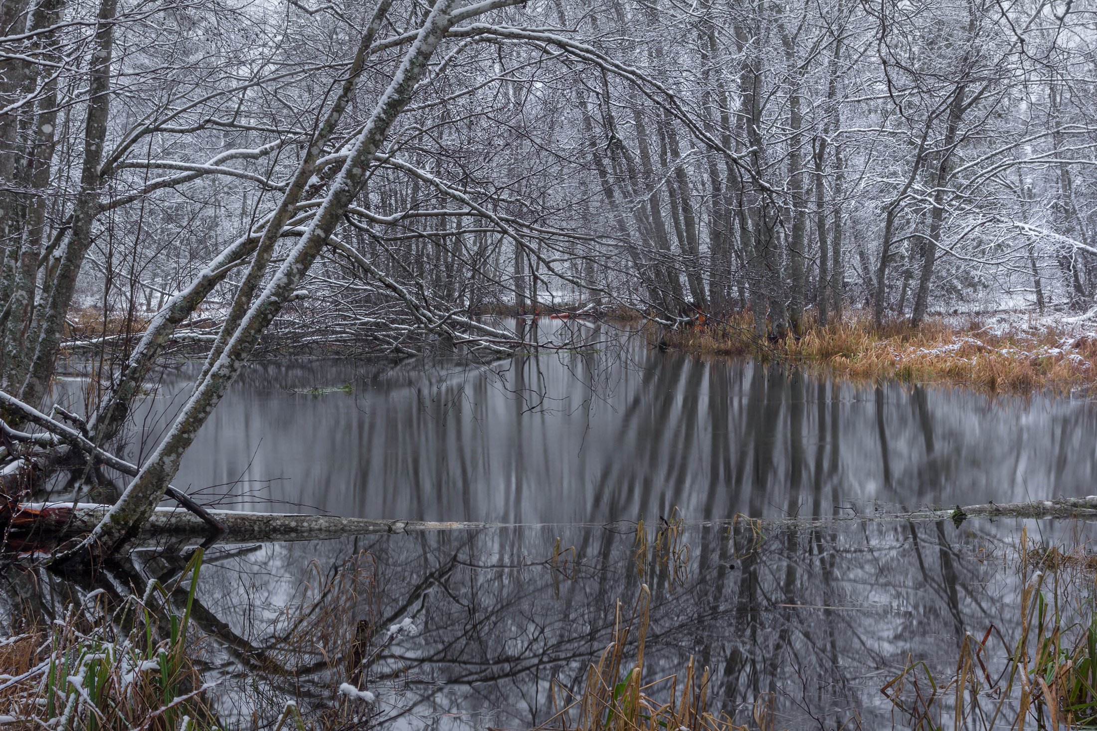 снег, река, ленинградская область, север, Павел Ващенков