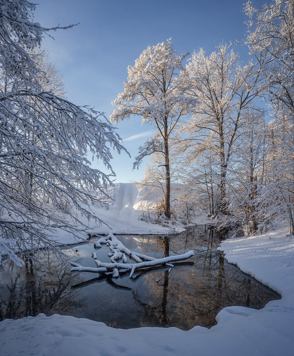 природа утро солнце зима деревья вода ручей снег, Михаил Корнилов