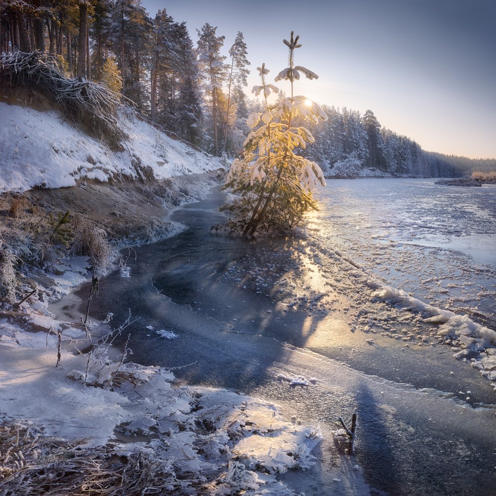 река, холода, Дмитрий Медянцев