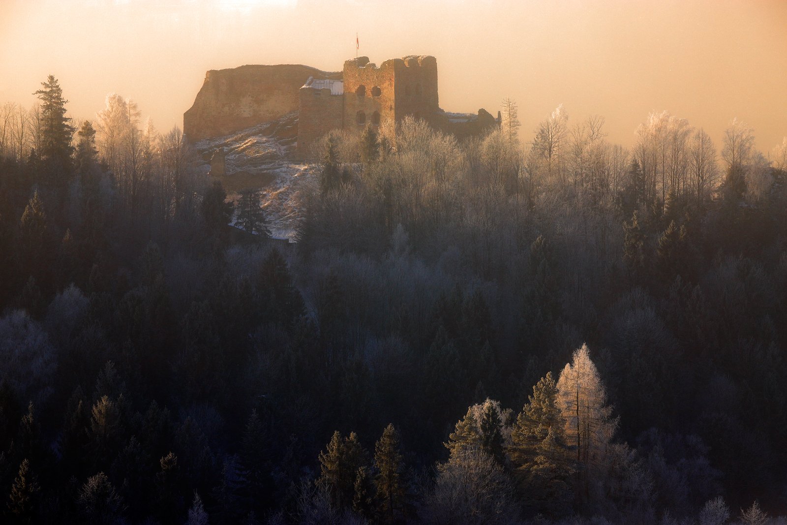 castle, morning, sunrise, forest, tree, light, mist, poland, pieniny, ruins, winter,, Jacek Lisiewicz