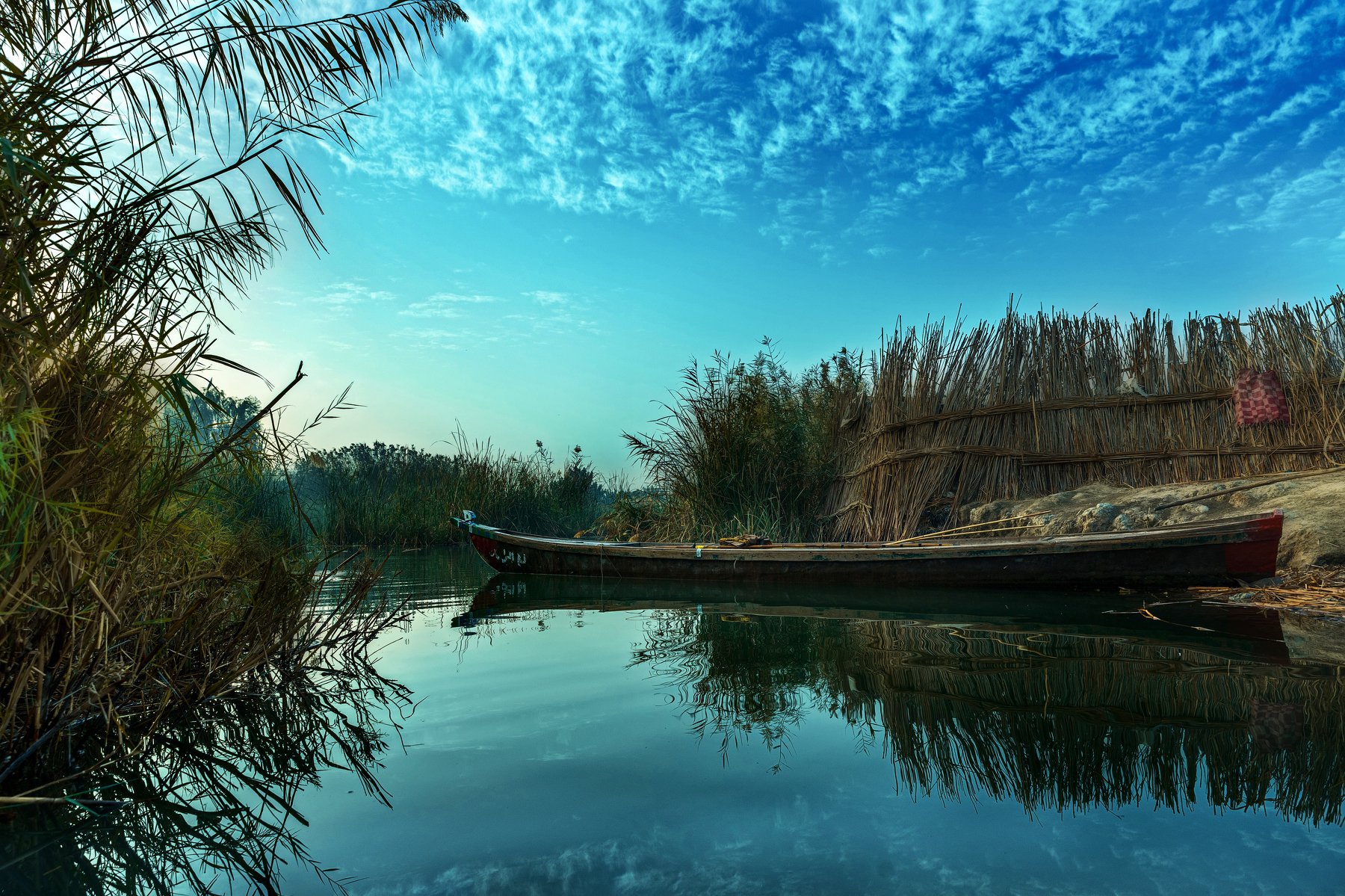 Colors,Marshes,Iraq,trees,Water, hussein najem