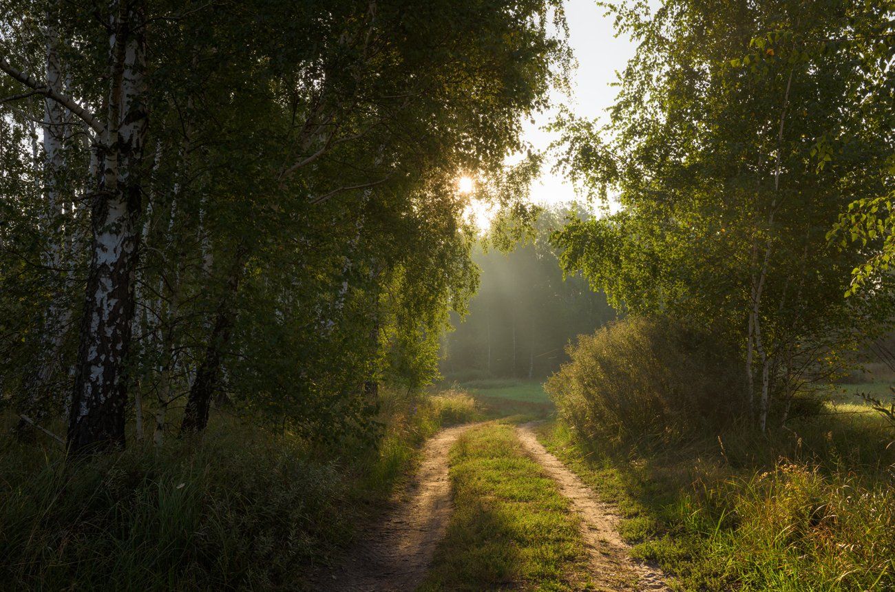 Фото уходящего лета. Солнечное утро уходящего лета картинки. Утро уходящего лета фото. Фото цифровое уходящее лето. Утро уходящего лета картинки.