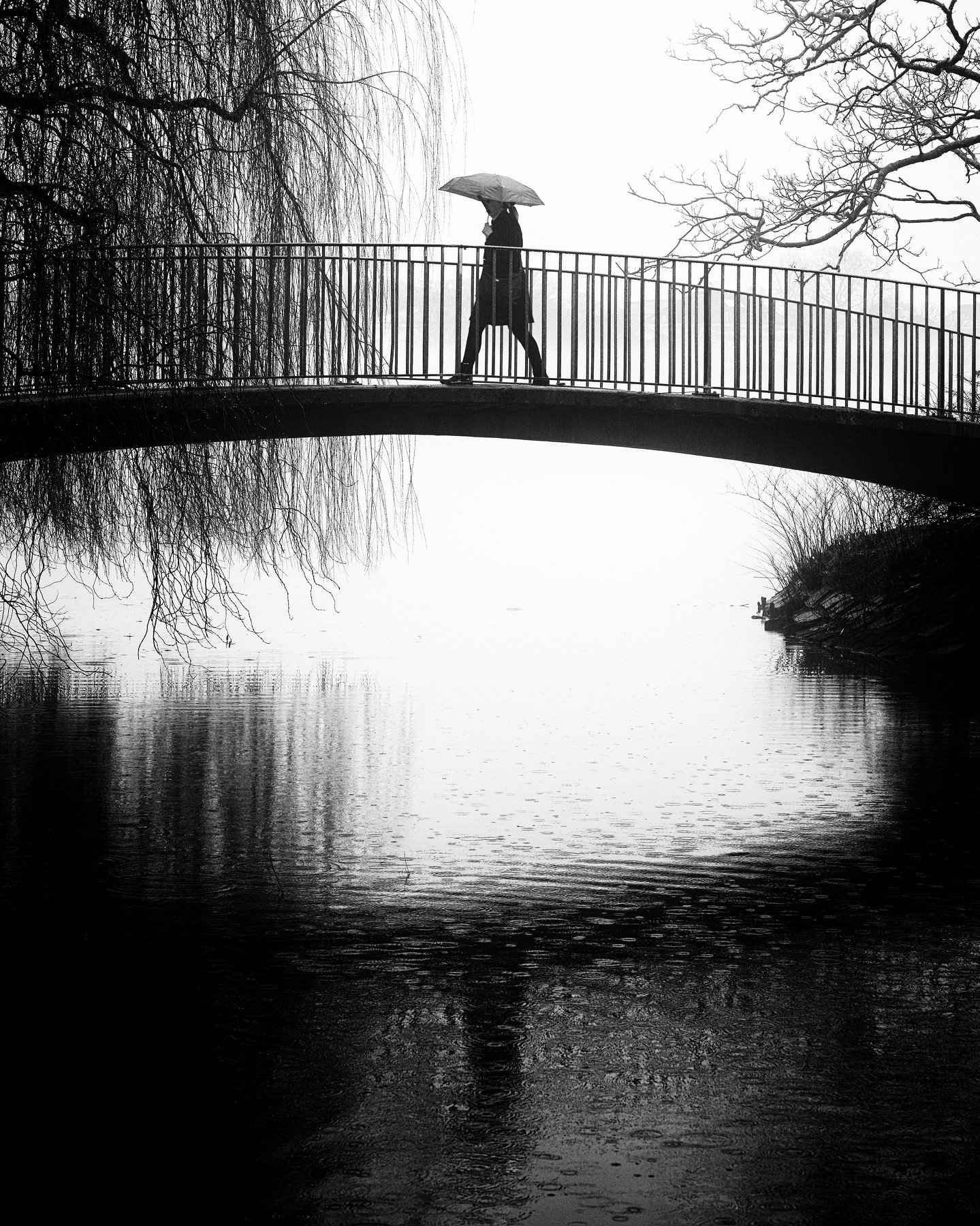 people, bridge, umbrella, rain, water, alster, lake, hamburg, germany, Alexander Schönberg