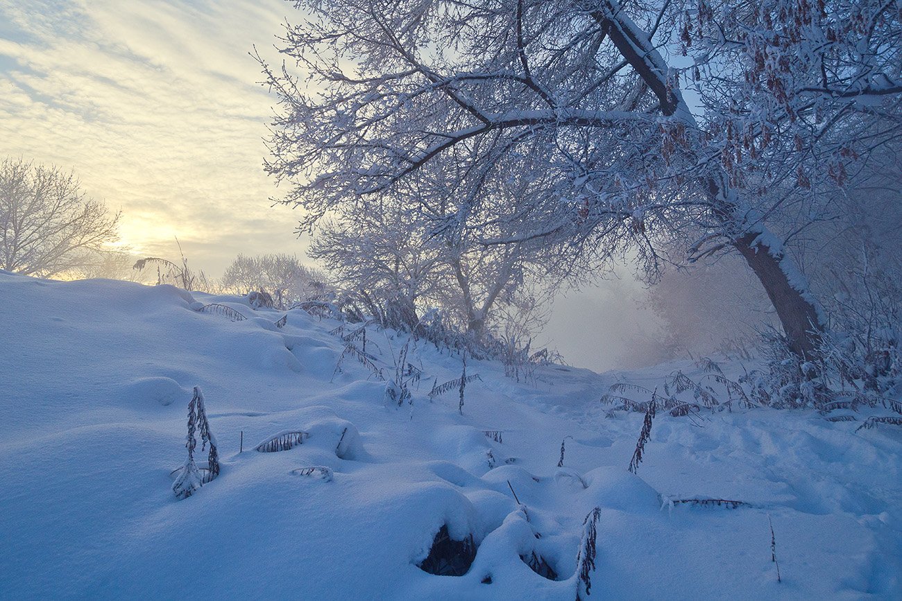 пейзаж, природа, зима, снег, мороз, тула, косая гора, Михаил Агеев