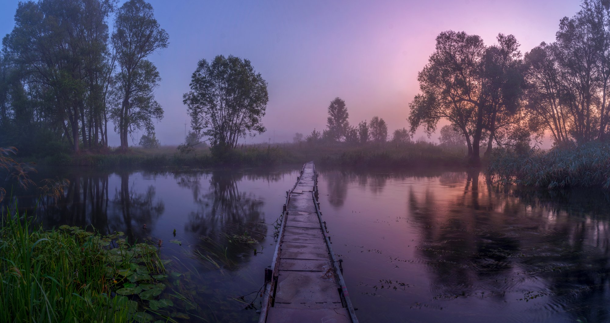 река нежеголь,рассвет,туман,река, Александр Литвишко