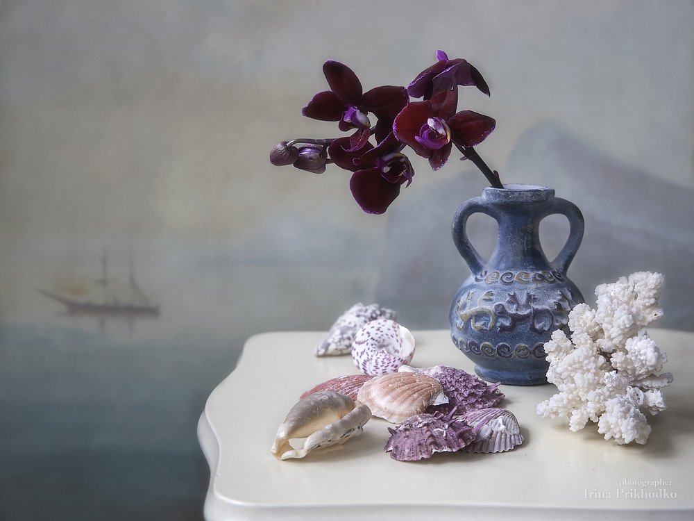 натюрморт, настроение, художественное фото, орхидея, ракушки, морской пейзаж, Ирина Приходько
