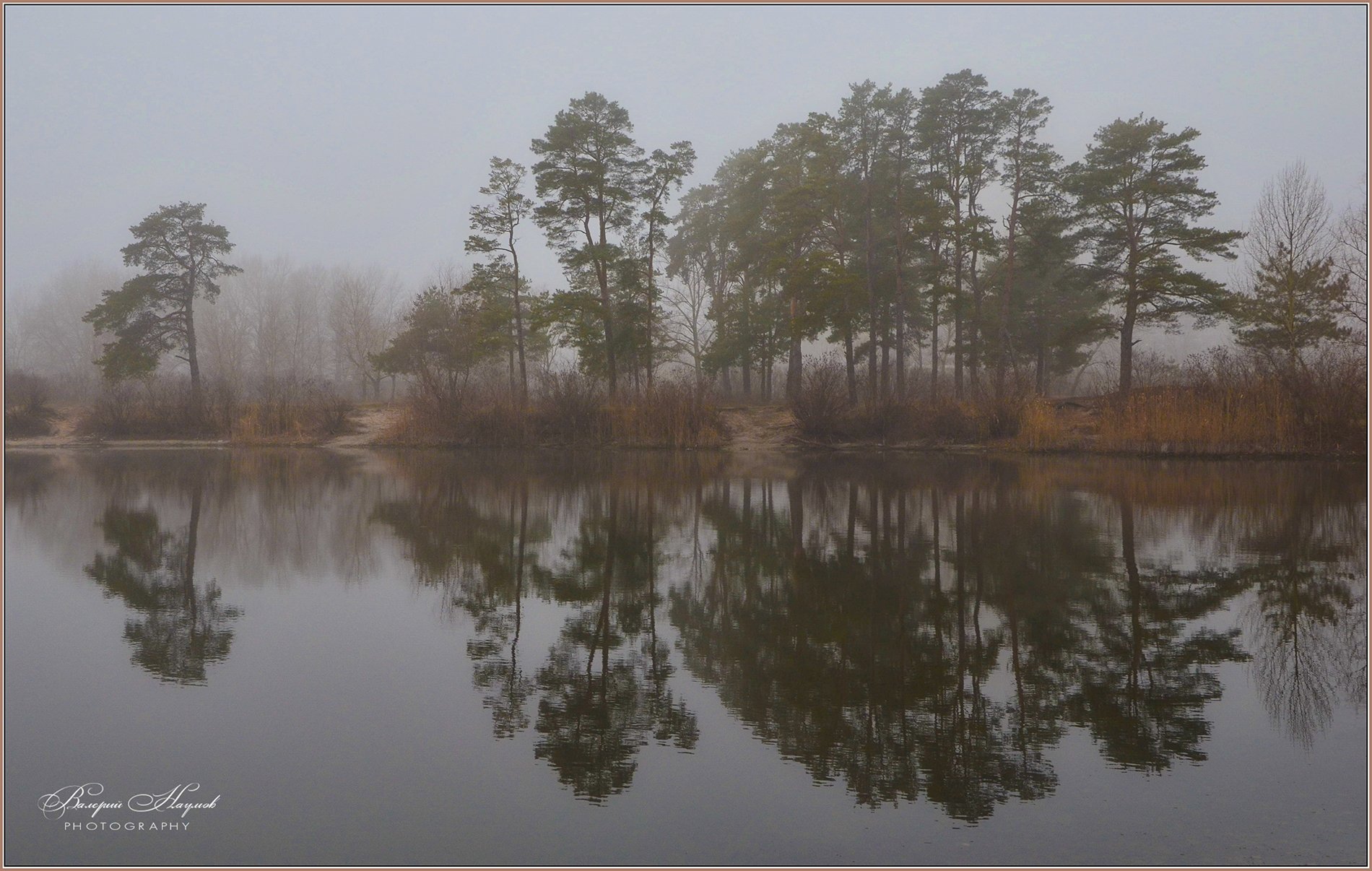 зима, туман, отражения, Валерий Наумов