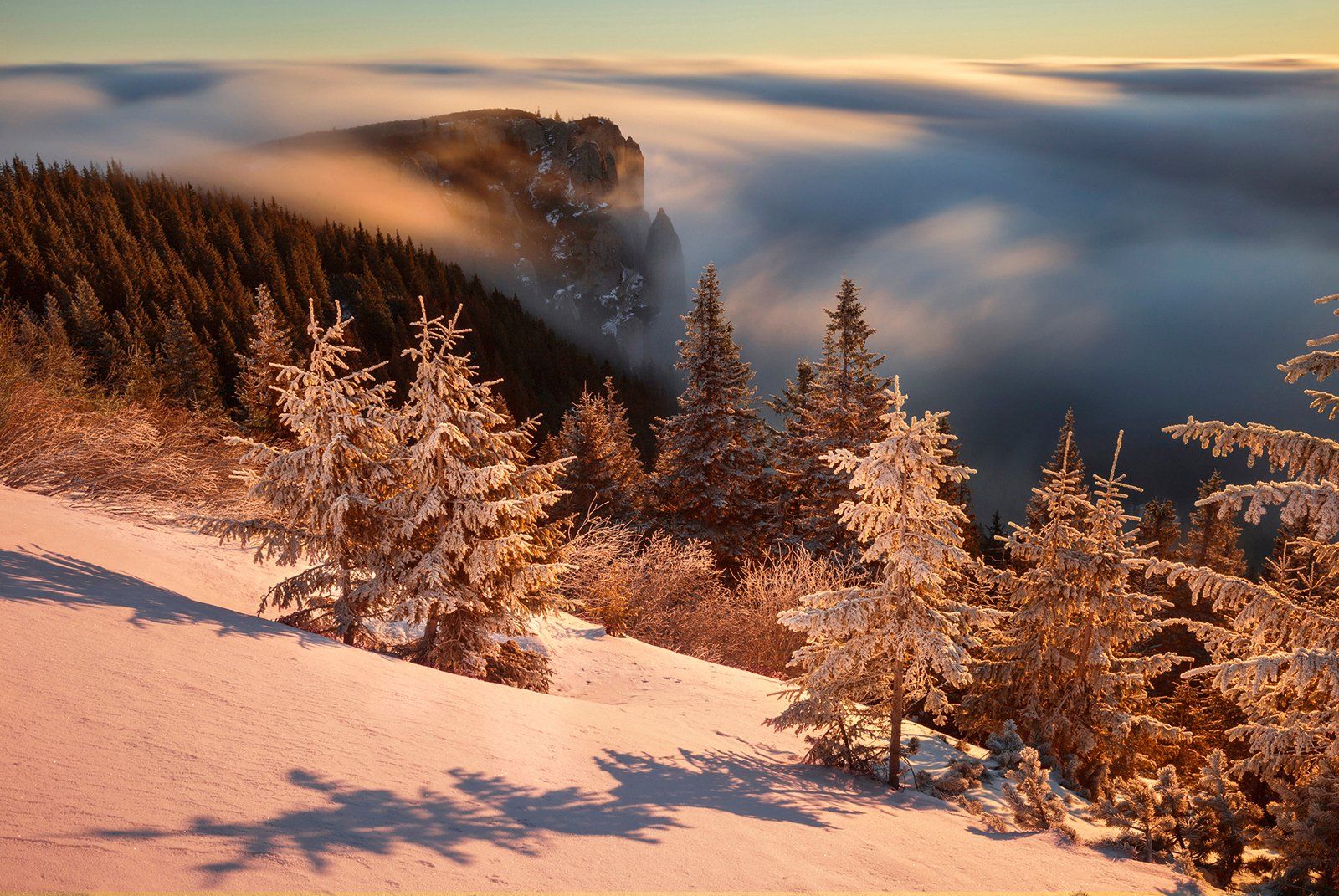 winter, trees, blizzard, snow, landscape, travel, nature, mountain, romania, cold, sunrise, Lazar Ioan Ovidiu