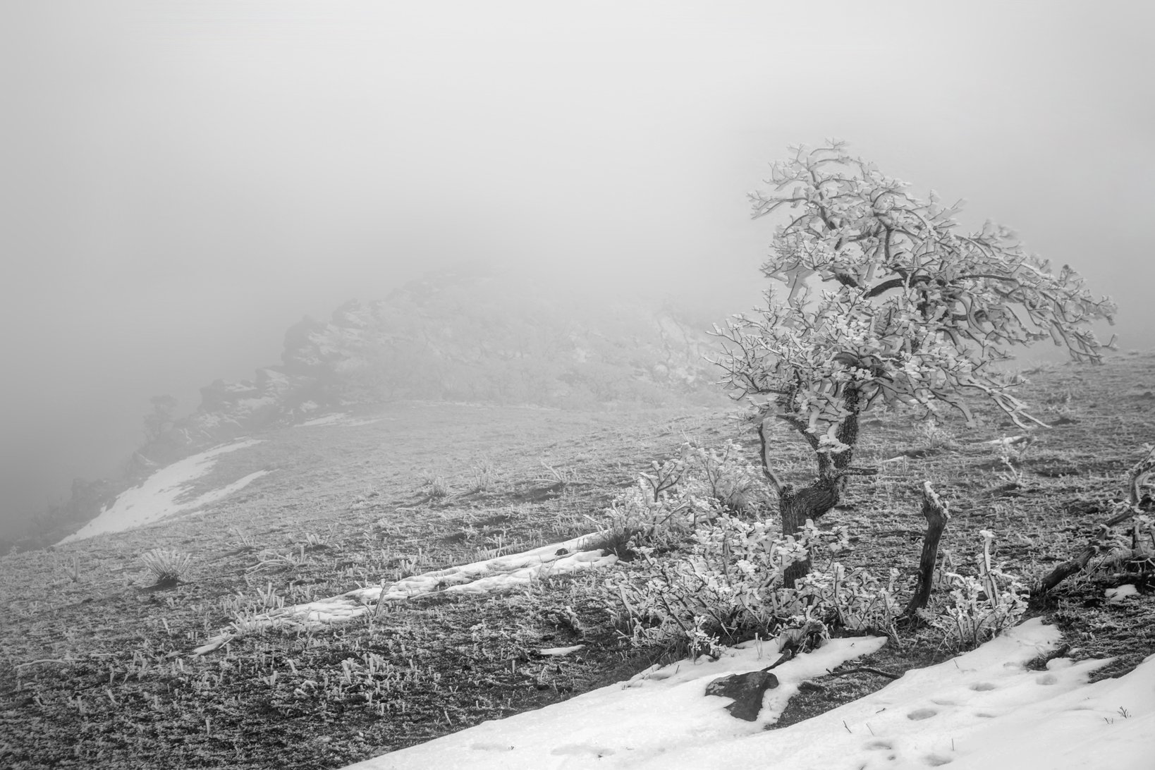 туман,зима,горы,вечер,снег,пейзаж,природа,дагестан.., Marat Magov