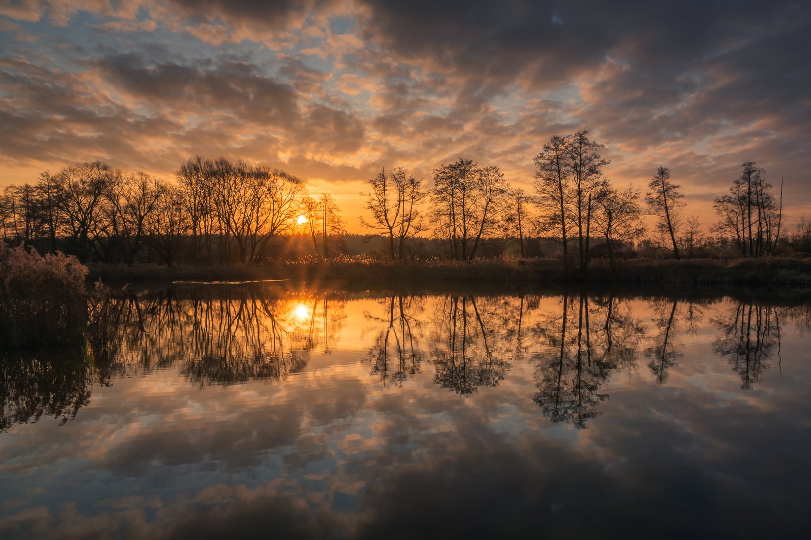 sun, sunrise, refleciotn, water, lake, pond, tree, clouds, morning, Artur Bociarski