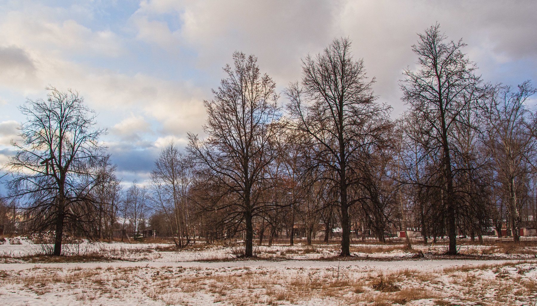 пейзаж, кулебаки, landscape, winter, зима, снег, snow, urban, деревья, trees, Владимир Васильев