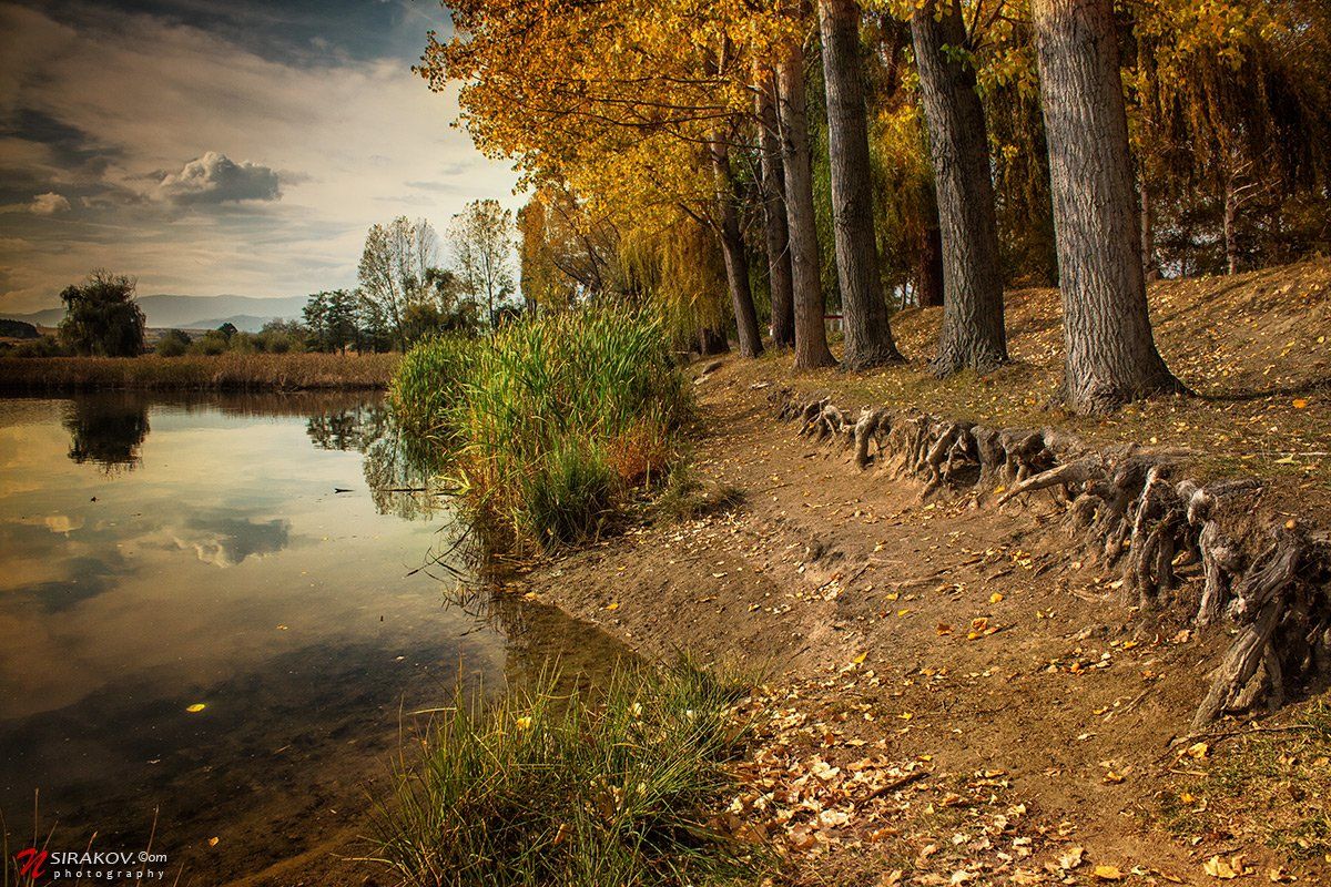 lake, bulgaria, lesichevo, forest, autumn, landscape, nature, cloud, vacation, tourism, nsirakov, Nikolay Sirakov