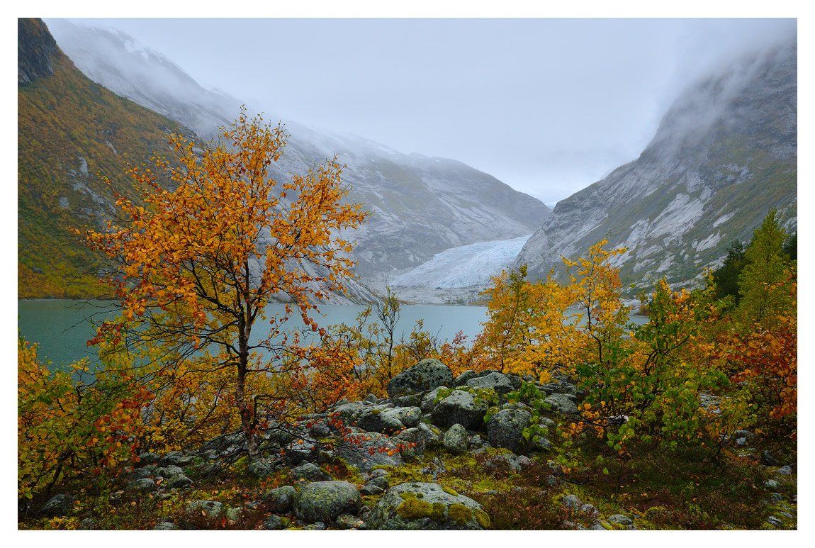 norway, nigardsbreen, норвегия, ледник, нигардсбрин, золотая осень, b.o.g.