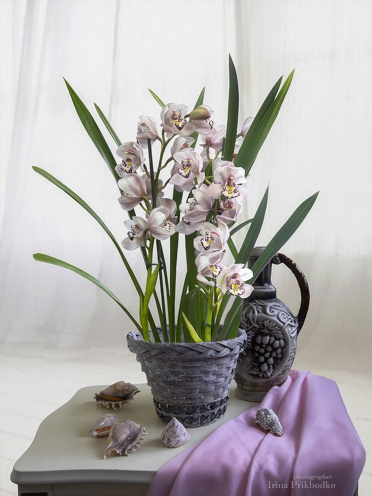 натюрморт, цветочный, художественное фото, интерьер, орхидея цимбидиум, Ирина Приходько