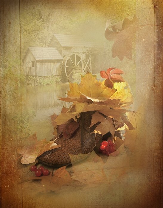 Натюрморт осень листья калина свет, Eлена Шовкопляс