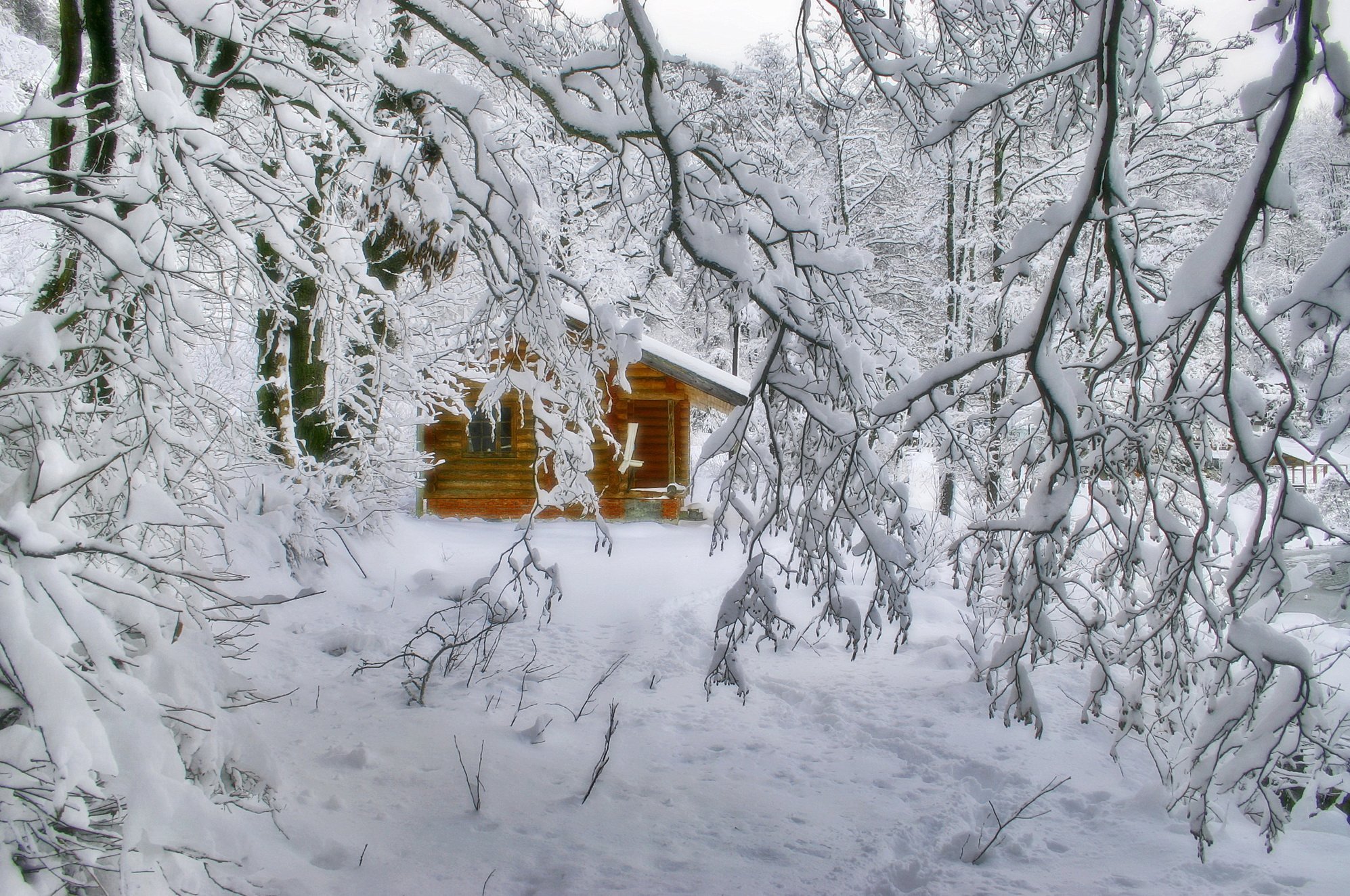 зима лес горы избушка, Евгений Никишин