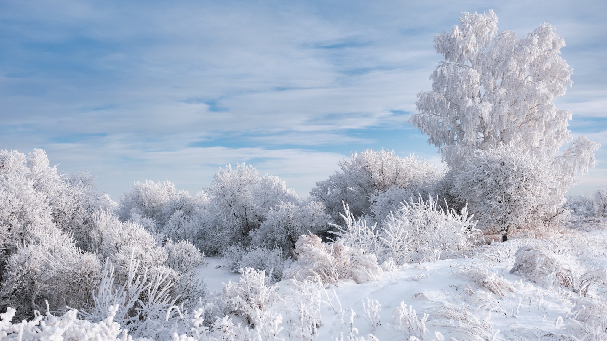 зима, зимний пейзаж, пейзаж ,снег, мороз, Константин Леонтьев